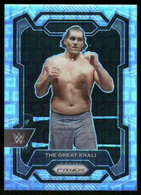 2024 Panini Prizm WWE #164 The Great Khali Premium Box Set Prizms
