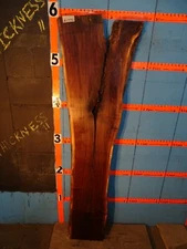 A1776     1 3/4" THICK  black walnut Live Edge Slab shelf table  KILN DRIED