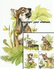 4 ART PRINTS Wolf Cubs Uvularia Arisaema Trillium Geranium Janet Wissmann ARTIST