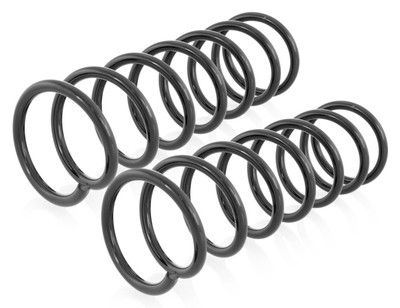 2x Feder Hinten Rechts=Links GH-223209