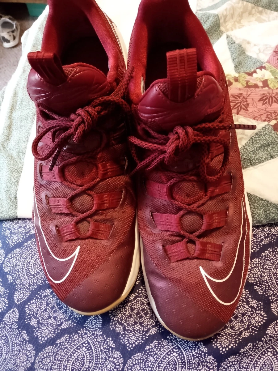 Lebron 14 maroon sale