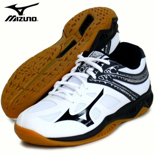 Mizuno Thunder Blade 2 Volleyball Shoes V1GA1970 White Black With Tracking  | eBay