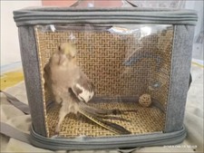 Parrot Travel Bag Lightweight And Carrier