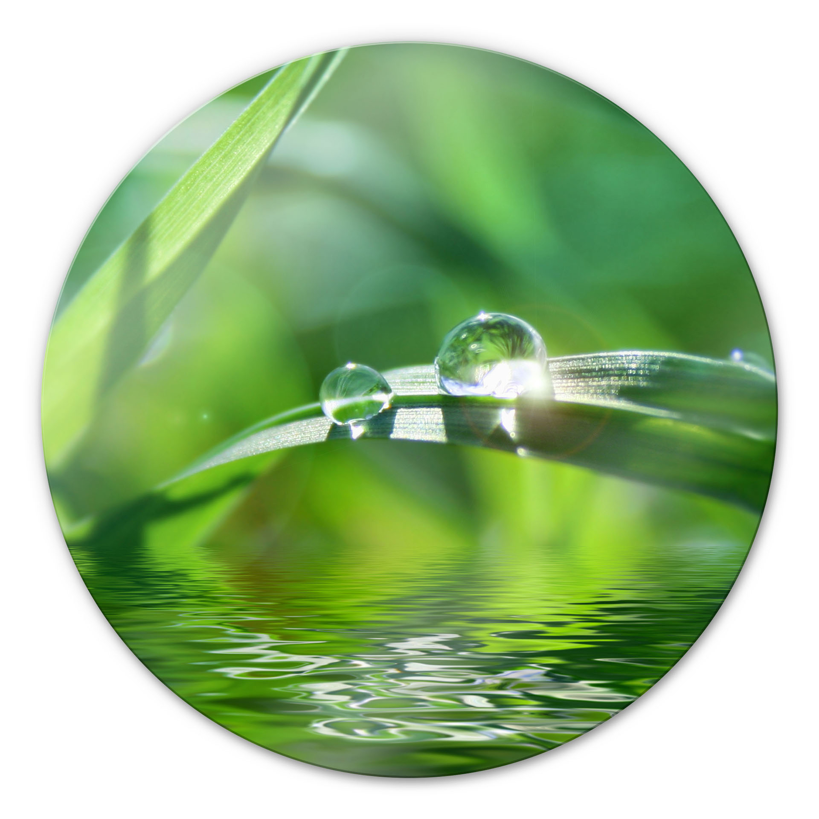 Dekoration rund grün WANDBILD ESG SICHERHEITSGLAS DEKO Glasbild Natur 6
