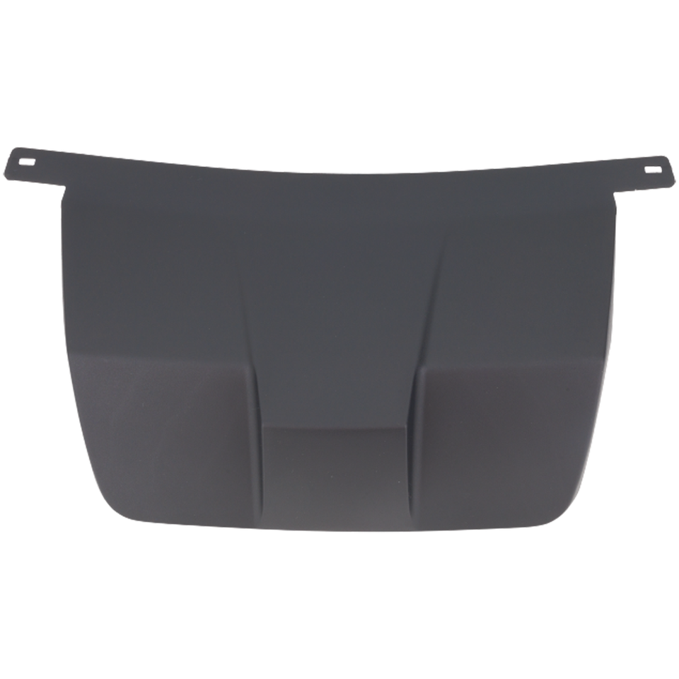 Geelife Bumper Face Bar Trim Molding Step Pad Front For RX350 Rx350l Rx450h Rx450hl