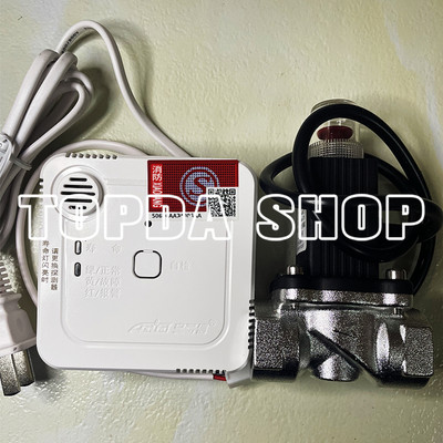 1x NEW JT-AEC2363a combustible gas detector alarm GB15322.2-2019 solenoid valve