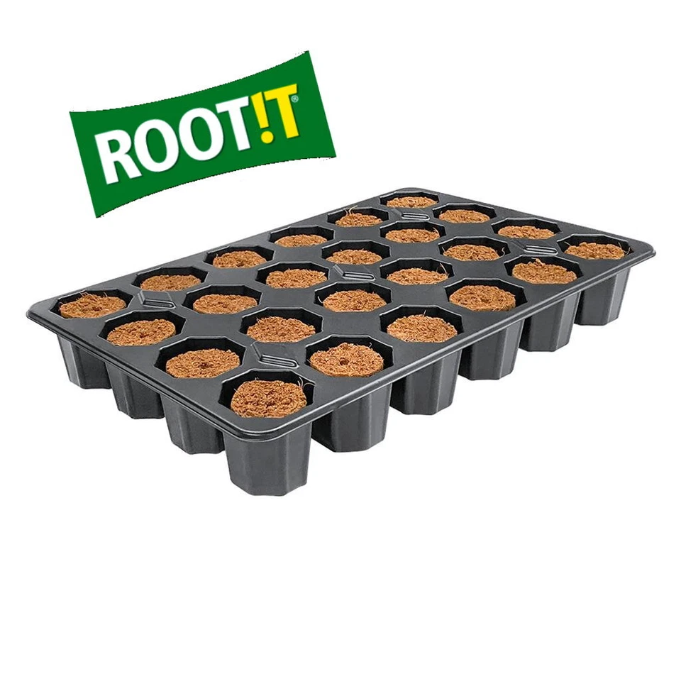 ROOT!T Peat Free 24 Plug Filled Tray, Root it Rooting Gel, First Feed - Image 2 of 4