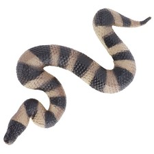 Simulation Schlangenmodell Schlangenmodell Lebensecht Für Desktop-Dekoration