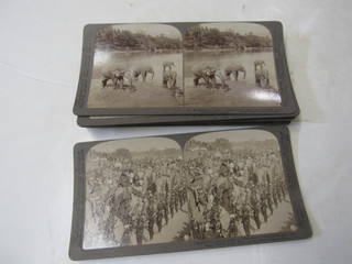 12 Stereoviews of Elephants in Case