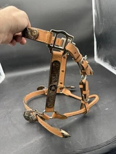 Western Show Halter With Engraved Metal Great Condition 