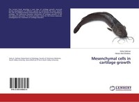 Mesenchymal Cells In Cartilage Growth Hanan Abd Elhafeez