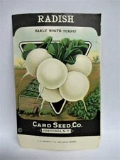*Original* RADISH Early White Turnip CARD SEED CO. Packet 1920's Fredonia NY