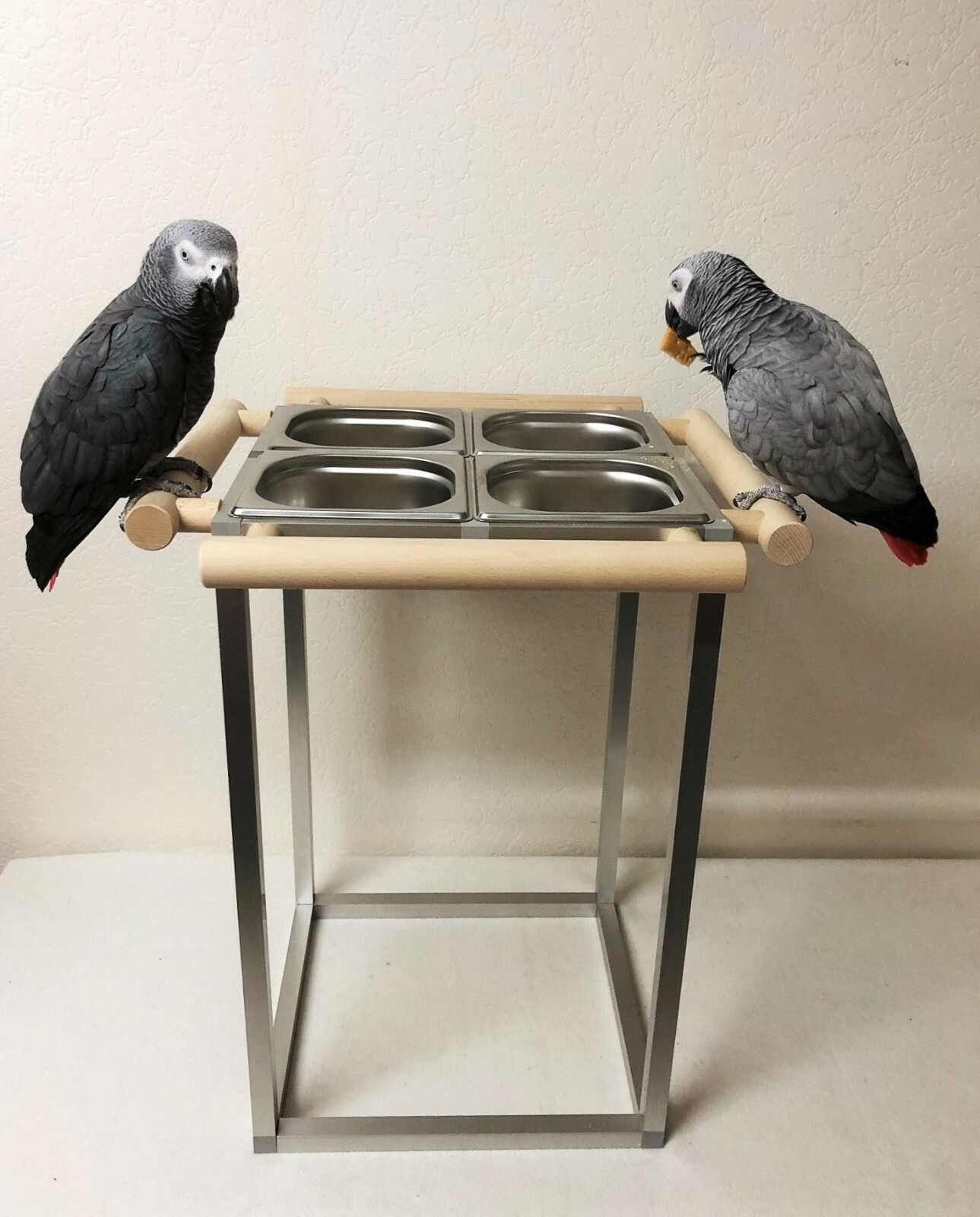 BUGUUYO Papageien Futternapf Edelstahl - Mit Holz Sitzstange Rutschfest