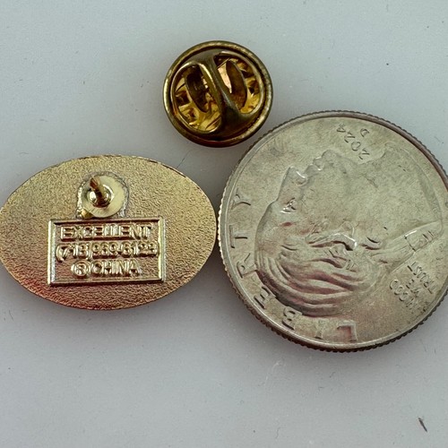 Lions Strengthen the Pride Lapel Pin - Picture 3 of 3