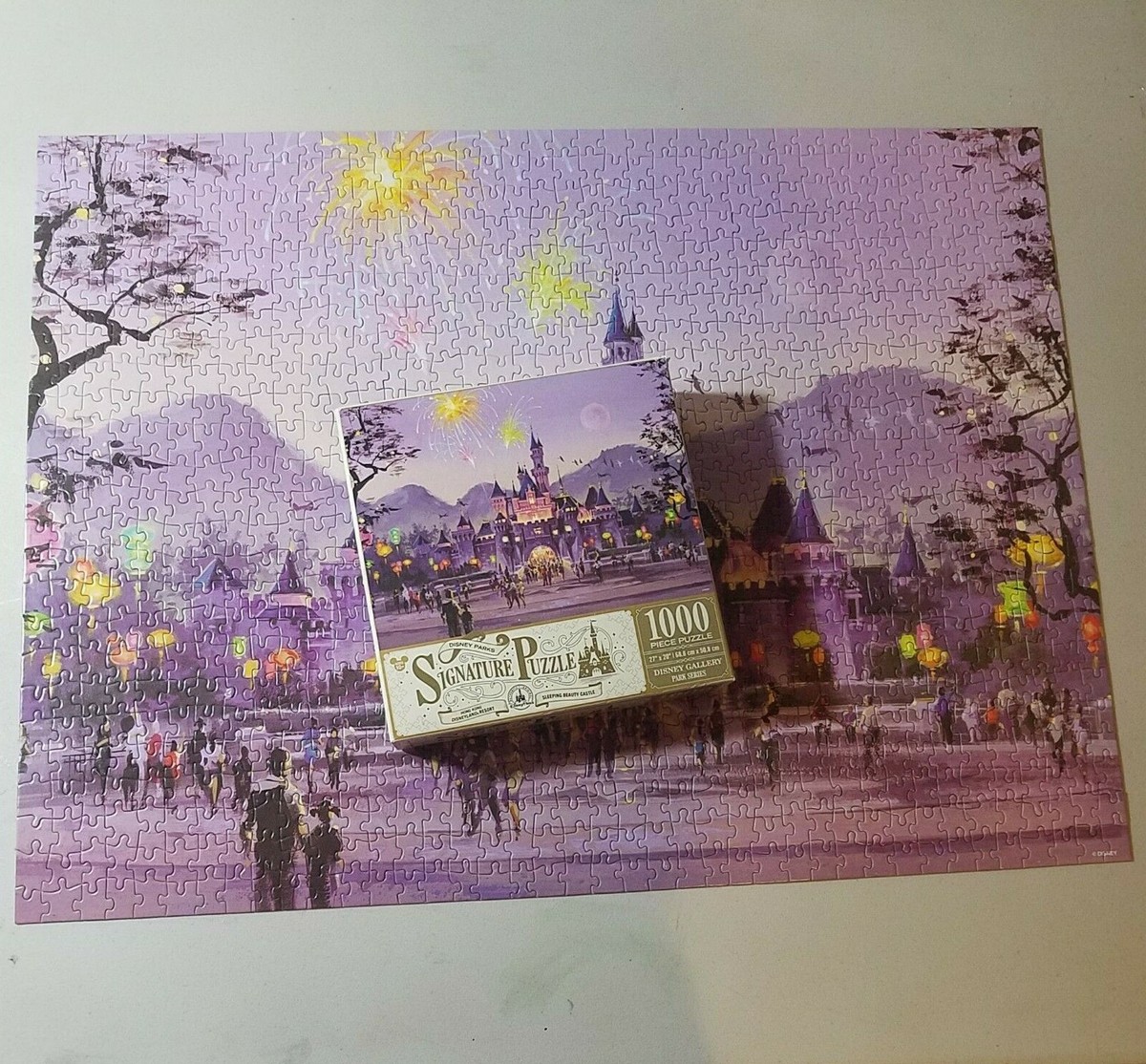 Disney Parks Signature Puzzle Hong Kong Disneyland Resort Sleeping