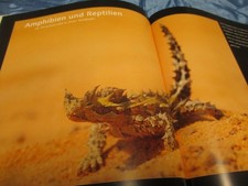 Digitale Foto - Praxis , Makrofotografie , Handbuch , Handbuch , TOP , R 21 , 01