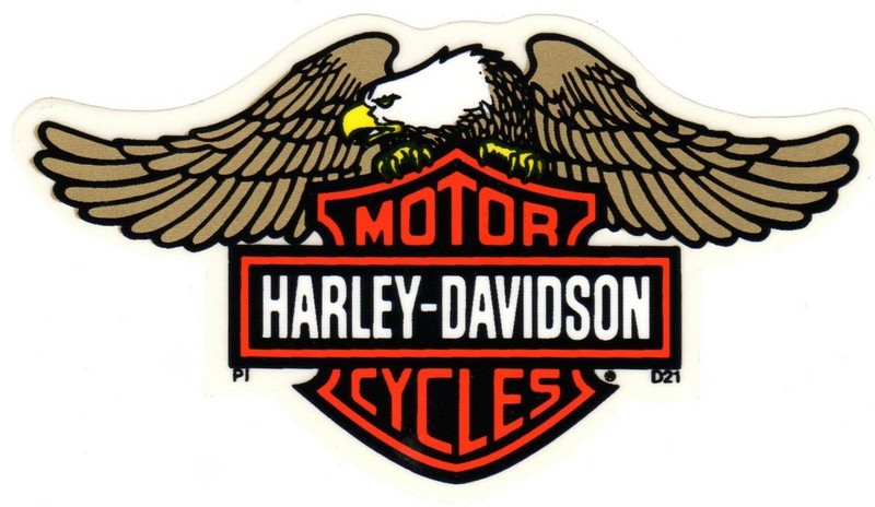 Harley Davidson Eagle Bar Shield OUTSIDE WINDOW Decal OEM Part D21 ~ 5 Inches!