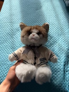 Folklore Album Cardigan Plush Cat | eBay