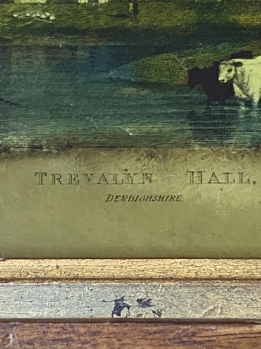 Trevalyn Hall Rückglas antike Lithographie Gemälde, gerahmt, selten - Bild 6 von 16