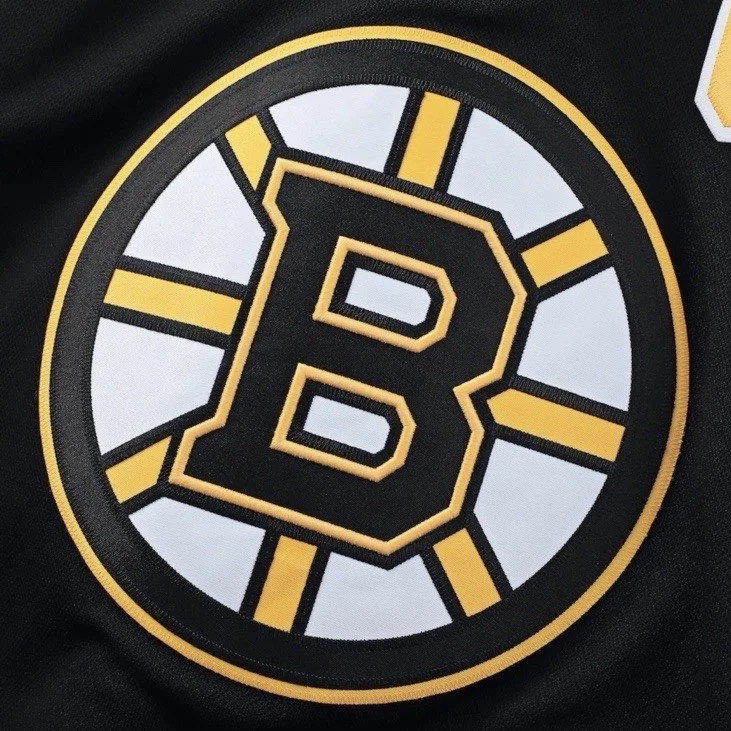 Boston Bruinss Home Premium Printed Jersey