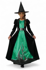 Brand New Marvelous Witch Child Costume