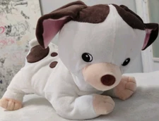 POKEY LITTLE PUPPY 10" Plush KOHLS Cares for Kids Classic Golden Books