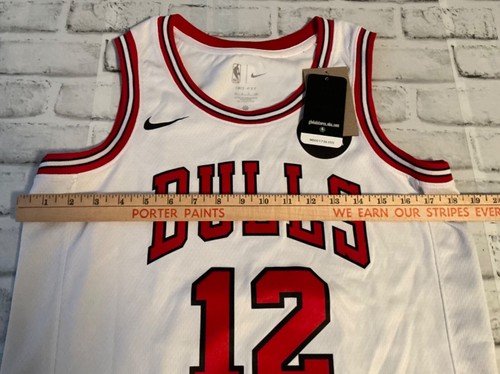 Chicago Bulls Ayo Dosunmu #12 Nike White Size 40 NBA Swingman Association Jersey - Picture 4 of 7