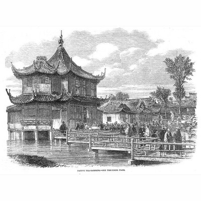 CHINA Native Tea Gardens - Antikdruck 1863