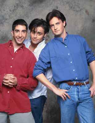 Friends Matthew Perry Davis Shwimmer Matt LeBlanc    8x10  Photo