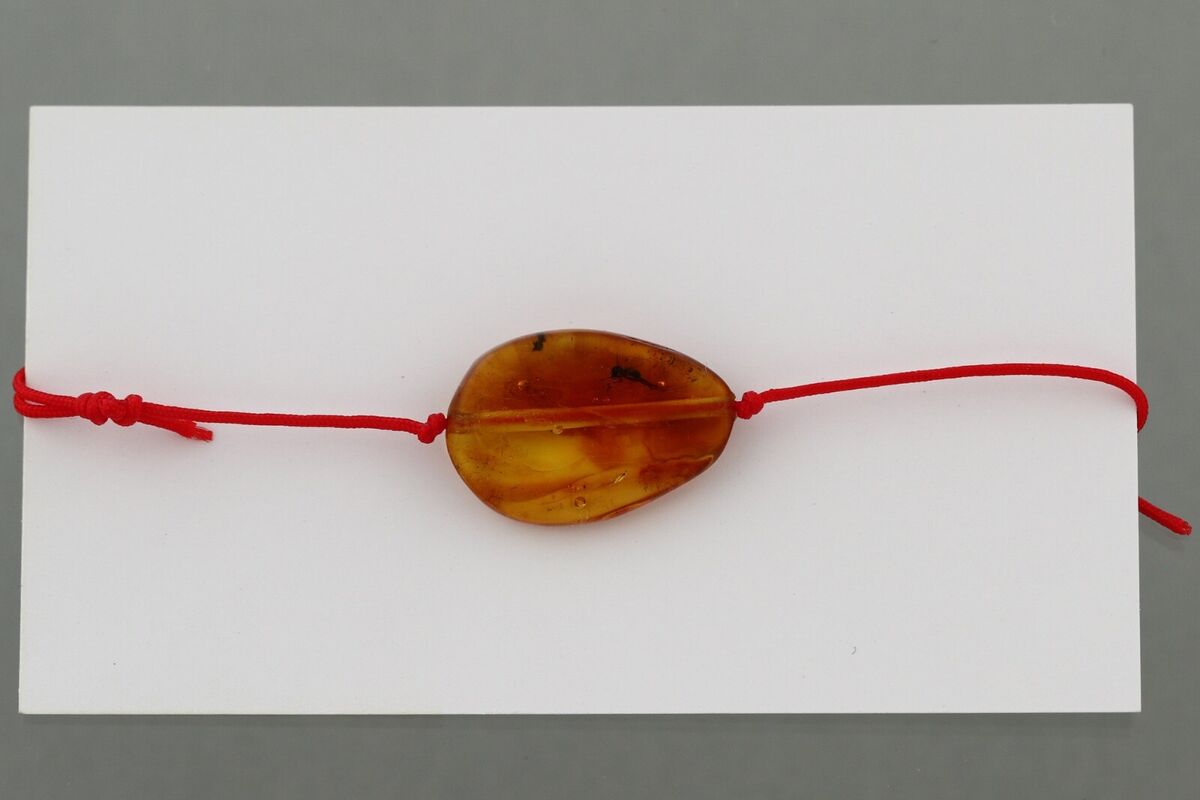 Fossil Insect BALTIC AMBER Unisex Red String Adjustable Fossil Insect BALTIC AMBER Unisex Red String Adjustable