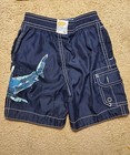 Baby Gap Shark 2 Piece Swimsuit Set Size 12-18 Months — photo 3