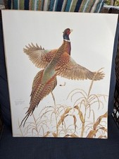Ring- necked Pheasant Art Print By Don Whitlatch Signed Numbered (1441/1500) COA