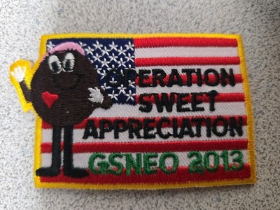 Girl Scouts Cookie Military Patch Little Brownie Bakers Thin Mint GSNEO Council
