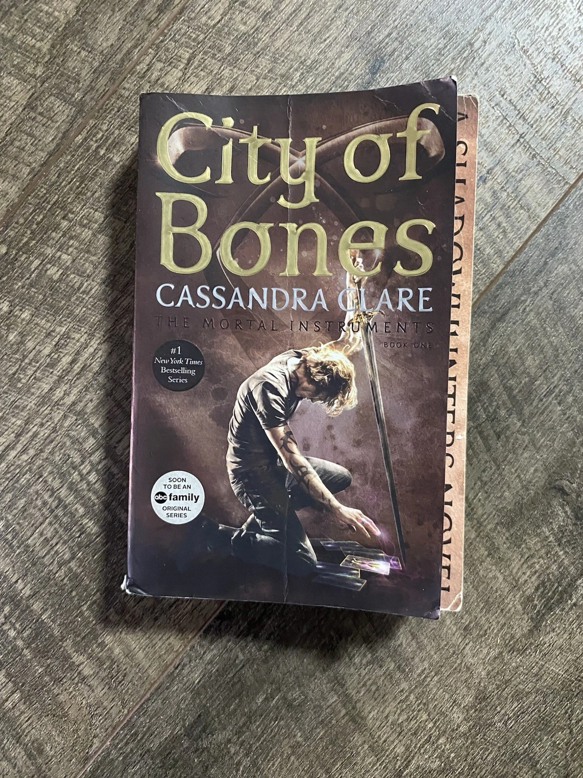 City of Bones by Cassandra Clare (2015, Trade Paperback)
