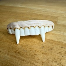 VTG Vampire Teeth Fang Horror Fake Fangs for Halloween Cosplay Easter Unlimited