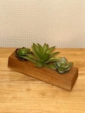 Poject 62 Wooden Succulent Planter Artificial Decoration Home Decor
