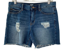 BDG Shorts Womens Size 28 Boyfriend Denim Cutoff Distressed