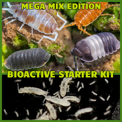 Bio-Active Kit | 100+ Mega Mix Isopods And 8oz Springtails | FREE SHIPPING!!