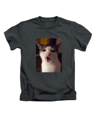 T-Shirt Katze frisst Meme Erwachsene Baumwolle lustig Komödie