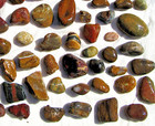 Beautiful Oregon Coast Jasper, Jasper-Agate, Colorful Variety - 8 1/2 + Pounds — photo 5