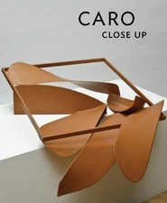 CARO: CLOSE UP By Julius Bryant & Martina Droth - Hardcover **Mint Condition**