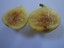 ZAILATA-The-Yellow-Greek-Fig-Variety-2-fresh-cuttings