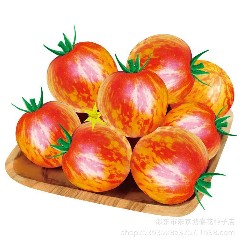 Tomato Seeds 200 Tomato Seeds Rambling Red Stripe | eBay