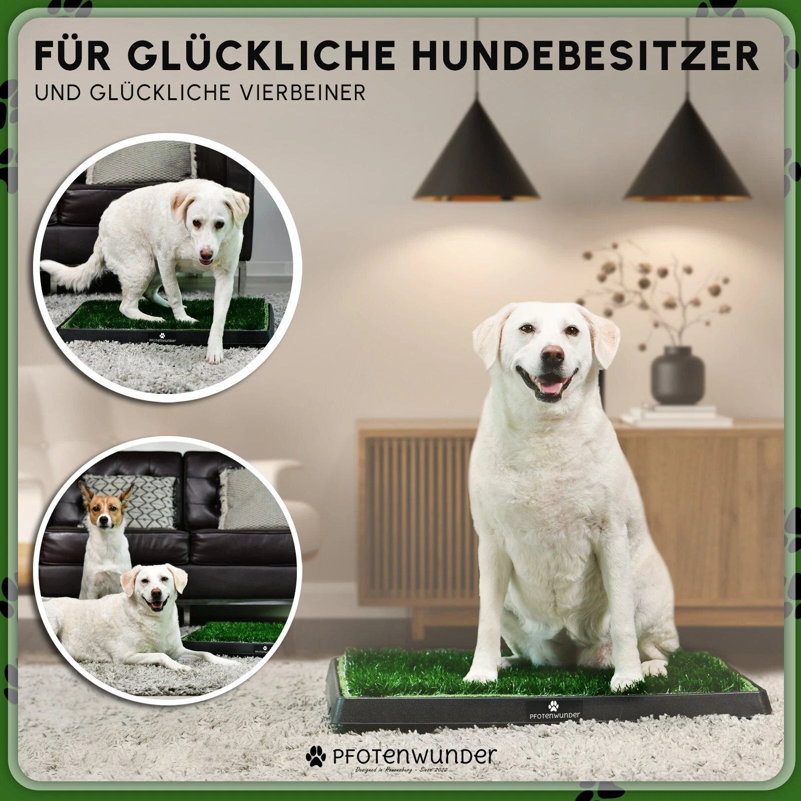 Bild 12 von 12