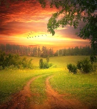 Digital Picture 3D Abstract Image Pic PNG JPEG Wallpaper Sunset field