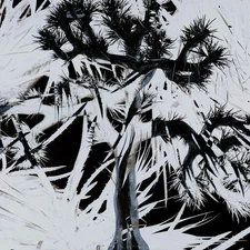 Plastic Tree - Plastic Tree [Regular Edition] [CD]