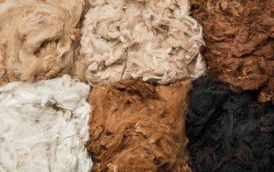 Alpaca Fiber for birds (Unprocessed)