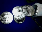2021 Type-1  BU American Silver Eagle .999 Fine Silver 20 Coins ORIG. Tube