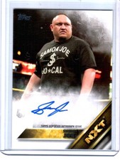 2016 Topps WWE Wrestling Cards 11