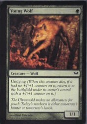 Young Wolf - Dark Ascension #134 Common